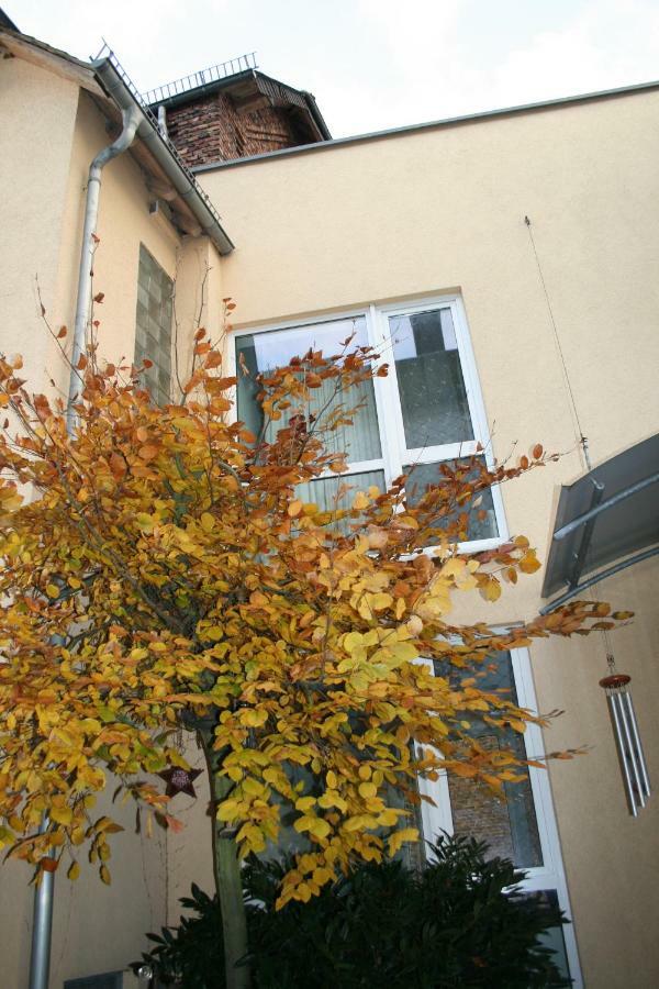 Apartpeterstor Montabaur Εξωτερικό φωτογραφία